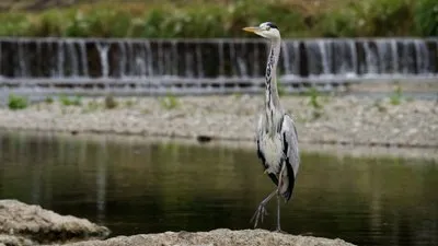 ジョジョ立ち？