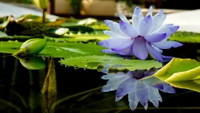 初めての反射撮影